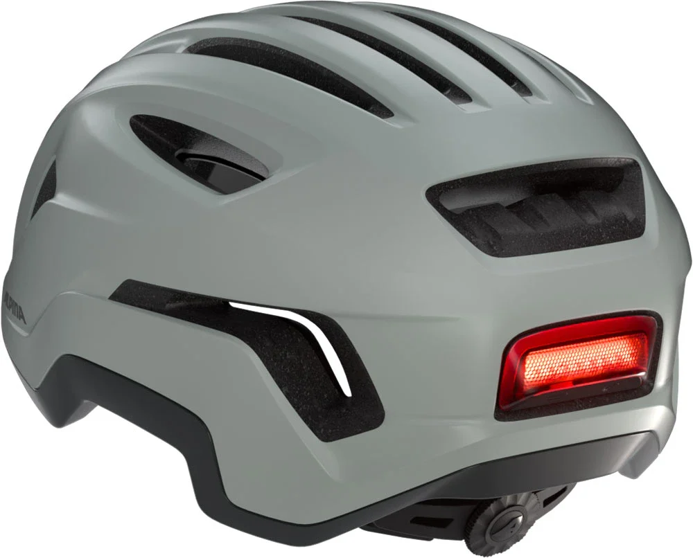 Alpina Paranus Plugin Light - Image 5