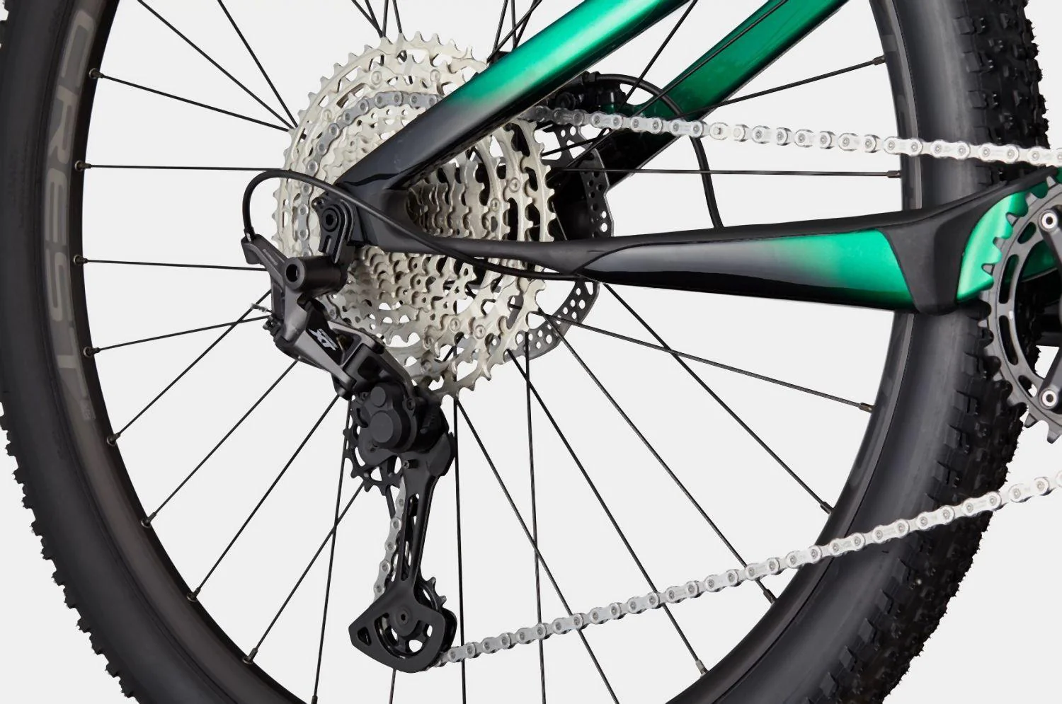 Cannondale Scalpel Carbon 4 Jungle Green - Image 5