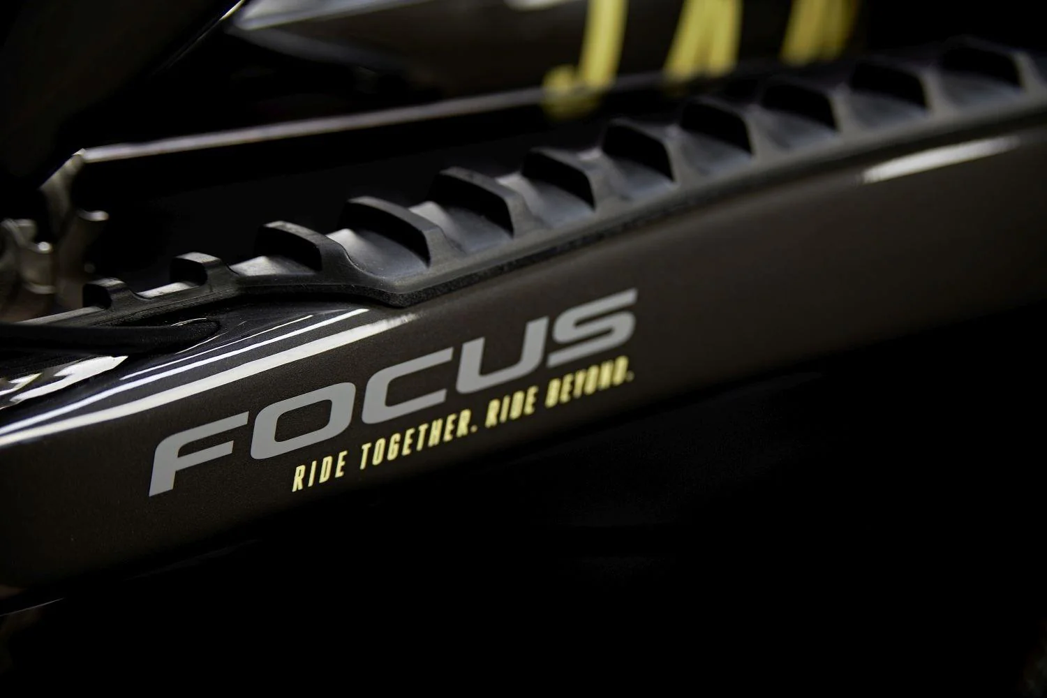Focus JAM² SL 8.8 Lightgrey / Carbon raw - Image 7