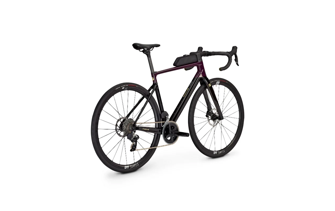 Focus Paralane 8.8 Darkviolet glossy / Carbon raw glossy - Image 3