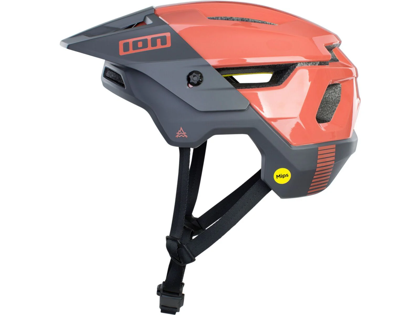 ION Helmet Traze Amp MIPS EU/CE - Image 34