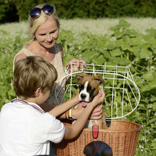 Klickfix Doggy Basket GTA - Image 7