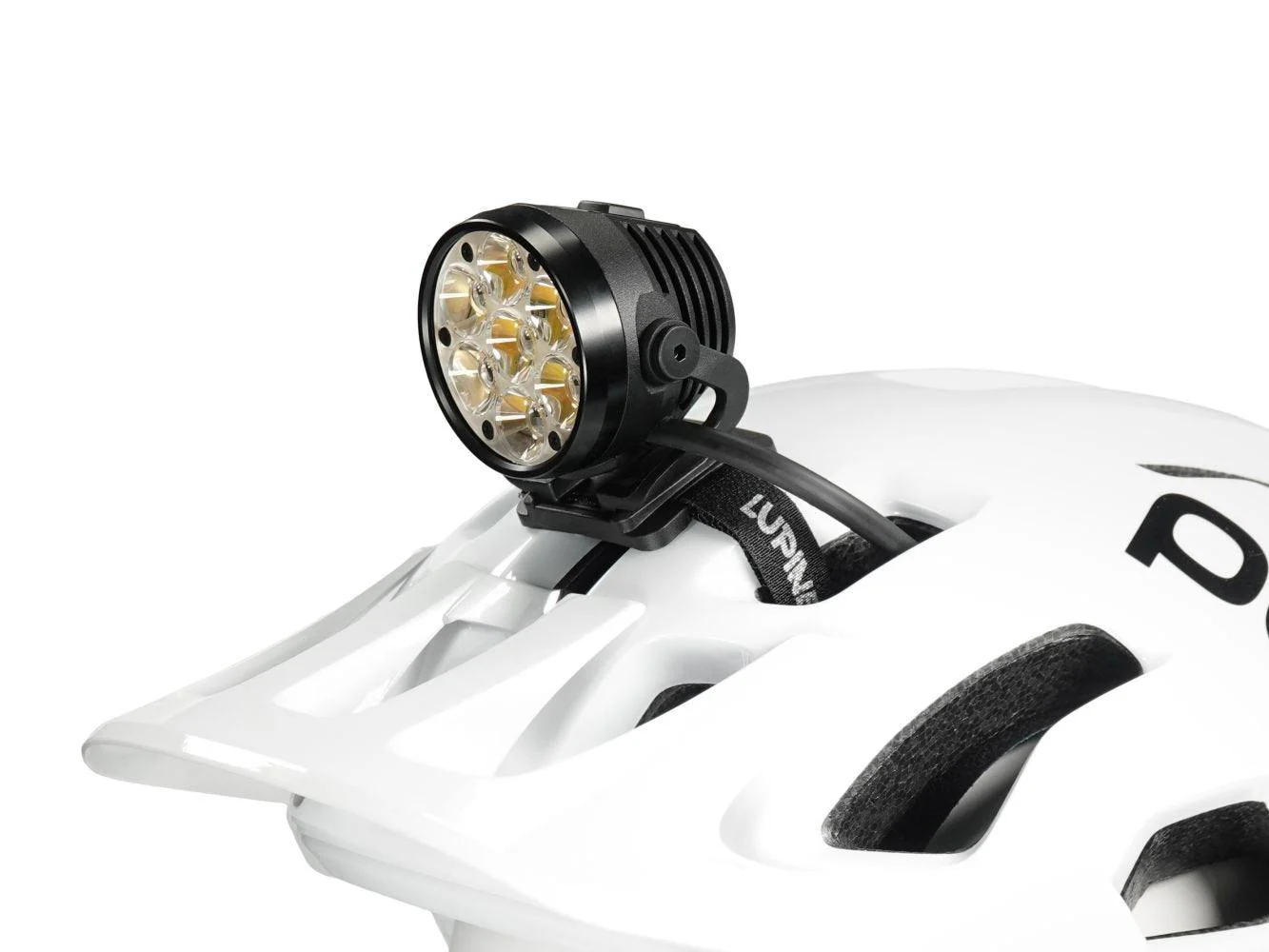 Lupine Betty R 7