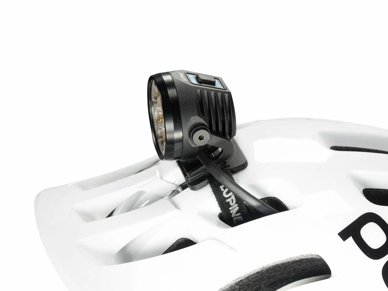 Lupine Betty R 7 - Image 2