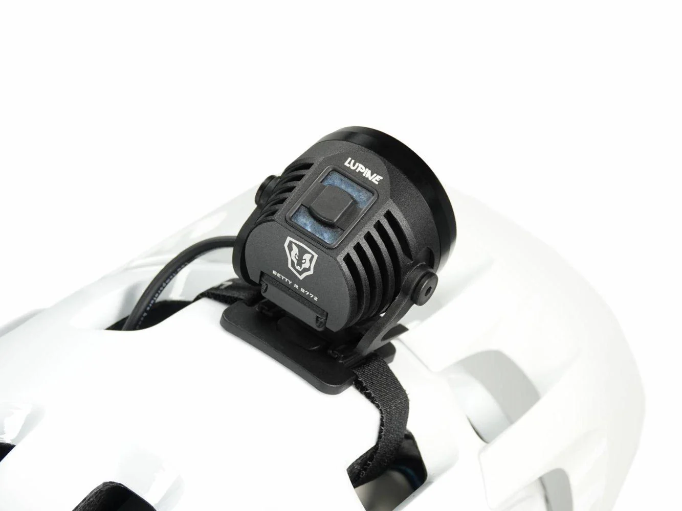 Lupine Betty R 7 - Image 3