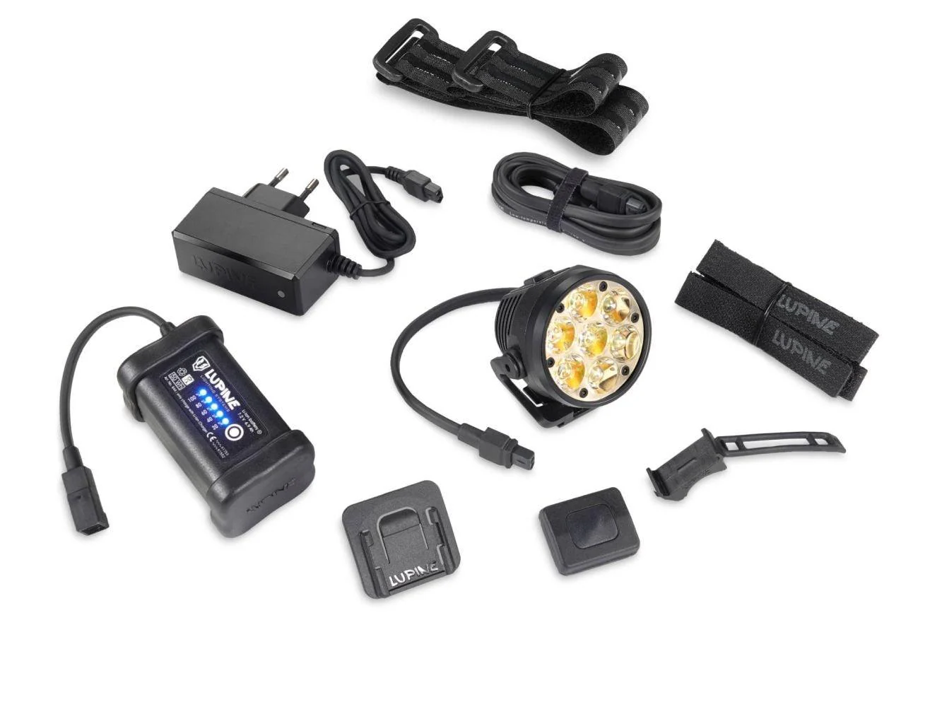 Lupine Betty R 7 - Image 6