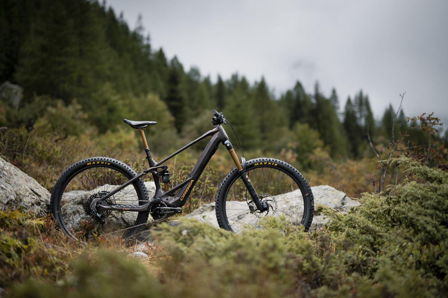 Orbea WILD M20 Cosmic Carbon View - Image 2