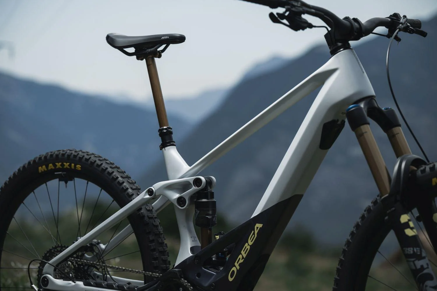 Orbea WILD M20 Halo Silver-Tanzanite Carbon View - Image 2