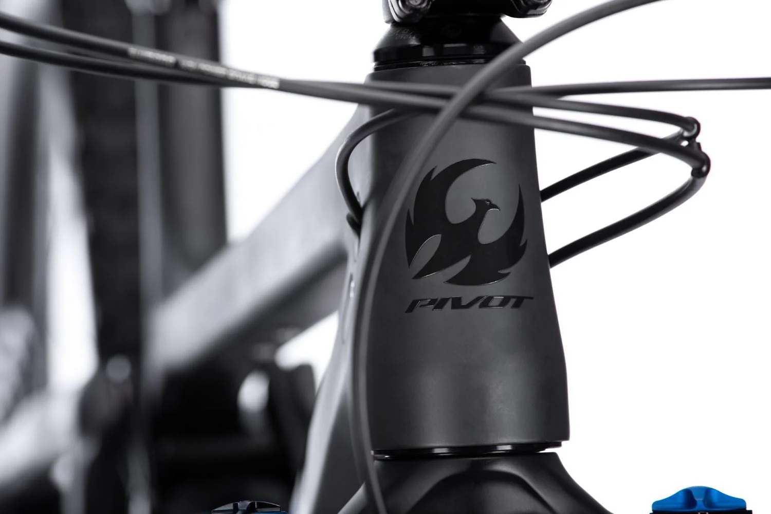 Pivot Mach 6 Ride SLX/XT - Coil, DT Swiss Laufräder Stealth - Image 2