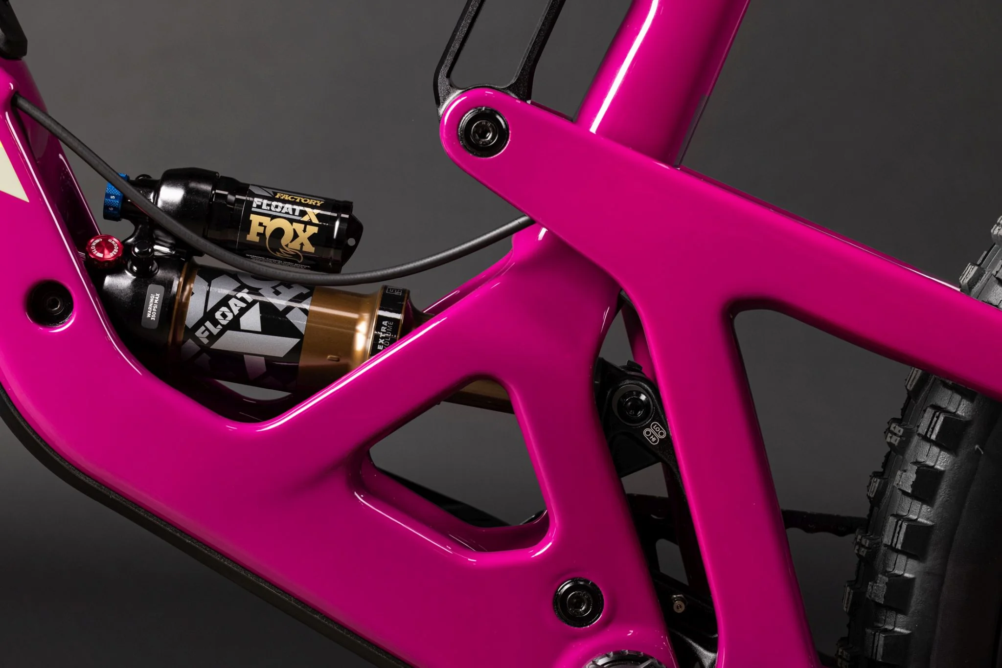 Santa Cruz Bronson 5 C R MX Kalimotxo - Image 6