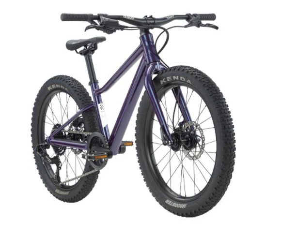 SCOR 0020 Purple - Image 2
