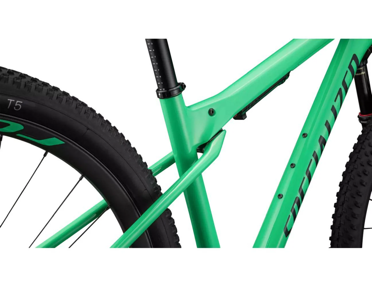 Specialized Epic World Cup Expert Electric Green/Forest Green Pearl - Image 6