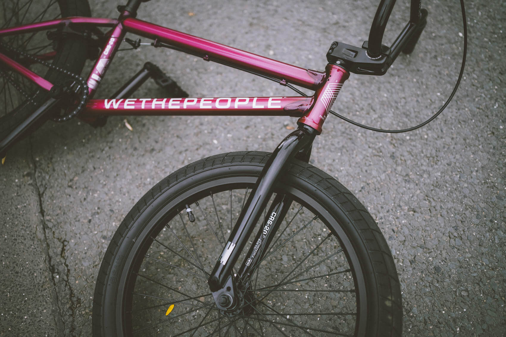wethepeople CRS 20" FC trans berry blast - Image 2